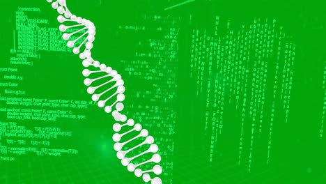 animation of dna strand spinning and data processing over green background