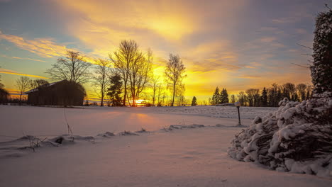 yellow colored sky by a sunrise between clouds and trees in winter