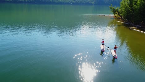 couple on stand up paddle board oaring in river 4k