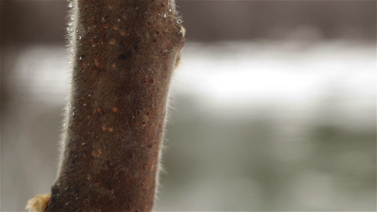 Panning shot revealing a swollen river in early spring
