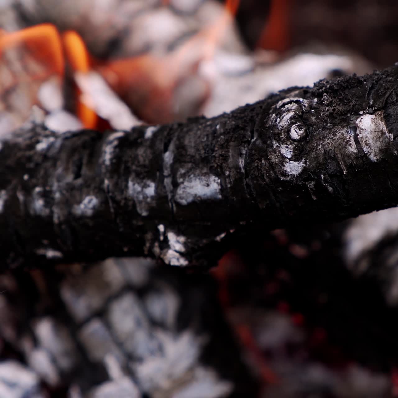 Wooden logs in orange flame. Burning wood in fire. Motion of red tongues of fire over smoldered logs. Close-up.