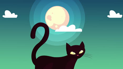 happy halloween animation with black cat at night