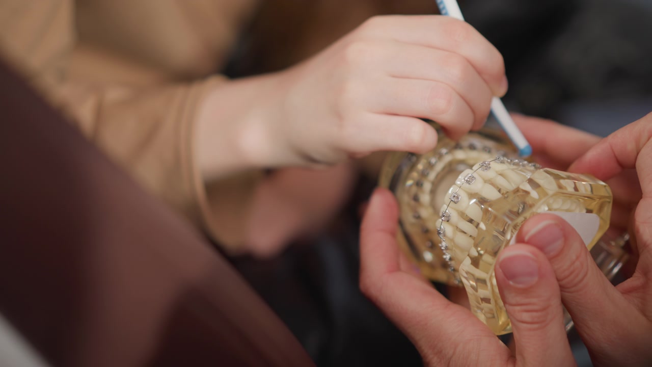 Close up of child and adult examining dental braces on model. young person uses small brush to point at orthodontic appliance while older person holds transparent plastic mold steady