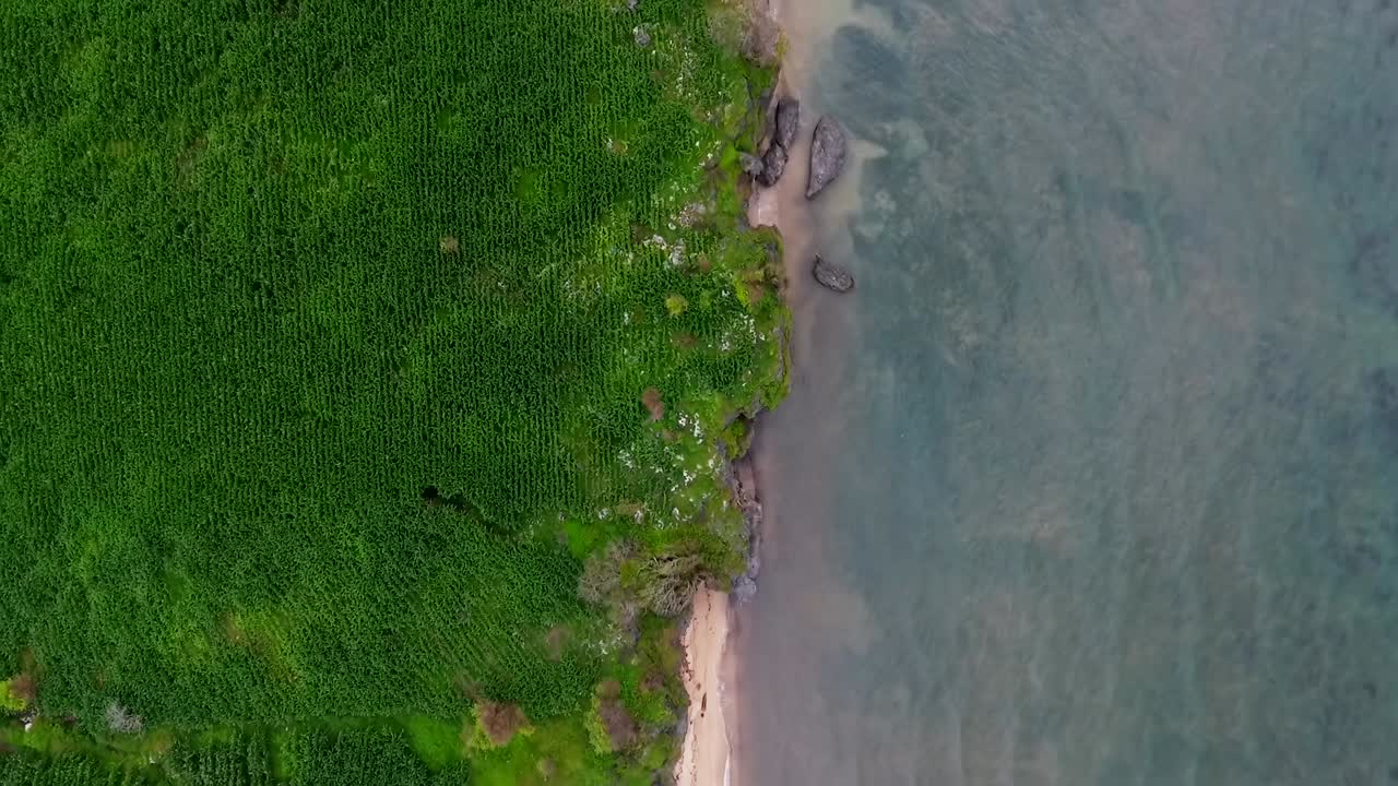 Vista aerea sopra campi di mais e il mare nella Sumbawa nuvolosa - dall'alto, ripresa con drone