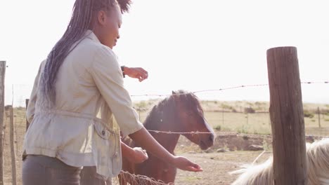 happy african american couple feeding horses together on sunny day, slow motion