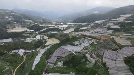 general landscape view of the brinchang district within the cameron highlands area of malaysia