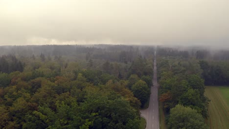 timelapse of shifting fog over a big forest while cars are driving up a street to the horizon, beautiful morning in southern bavaria