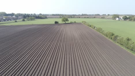 aerial drone view rows of fertile british agricultural rich soil furrow countryside pull back