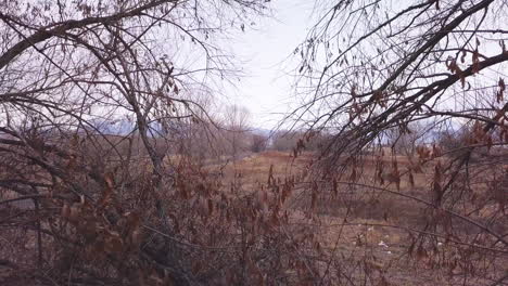 looking out of a dark and scary forest to the open field and freedom beyond