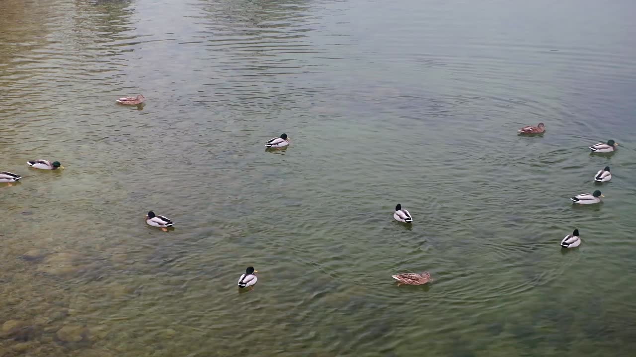 hermoso día de invierno en bohinj y el parque nacional triglav