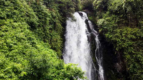 lush greenery surrounds a cascading waterfall in baños, ecuador, serene natural setting