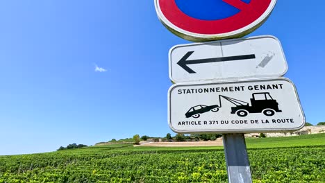 no parking sign in saint emilion vineyard