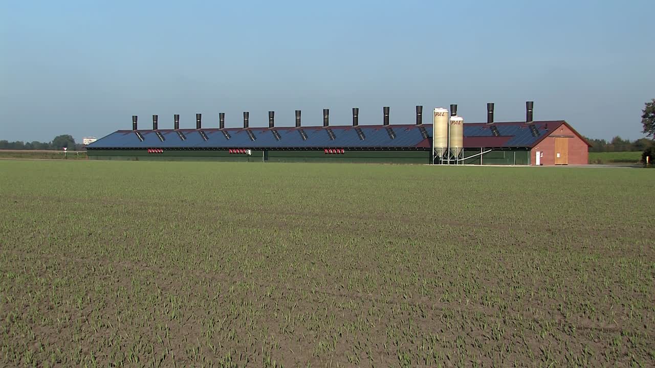 독일-2의 vechta 근처 암탉 또는 돼지 집