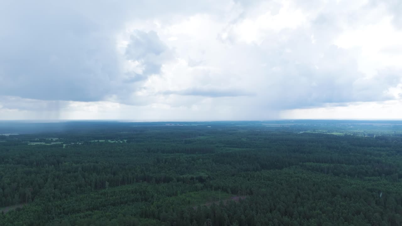 Rainfall clouds over endless woodland, aerial view