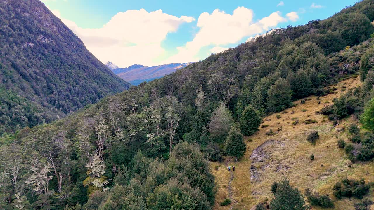 Drone footage captures lush forested mountains in Glenorchy, New Zealand. Bright daylight enhances the vibrant greenery and rugged terrain