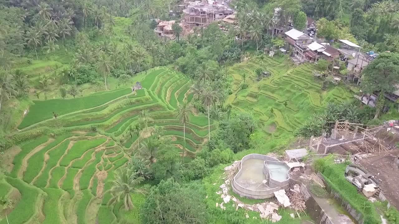 Drone video of a Rice field in Tegallalang Bali Indonesia