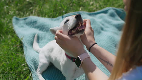 woman playing with a happy jack russell terrier in a park