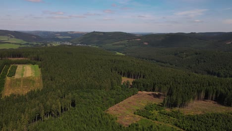 aerial view in vast forest, drone shot flying over tree tops, nature background