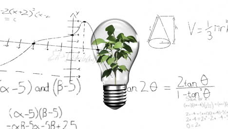 animation of light bulb with plant over woman's hand and mathematical data processing