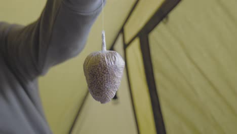 close up shot of fish bait tied to a fishing rope before carp fishing in a pond in norfolk, uk at daytime