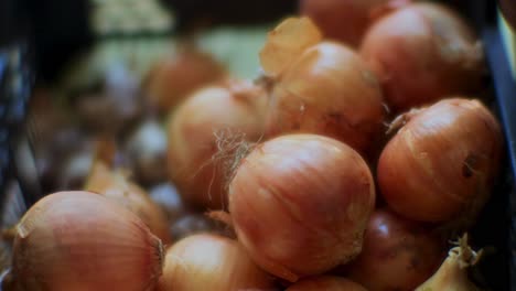 Raw-onion-close-up-shot---Large-raw-onions-fresh-from-the-garden