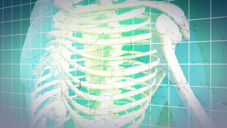 Animation-of-skeleton-and-grid-over-blue-background