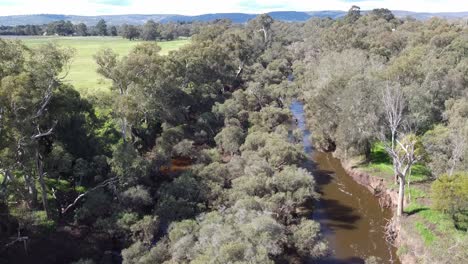 Kayak-En-Las-Carreras-De-Distancia-En-El-Desafío-De-Descenso-De-Avon