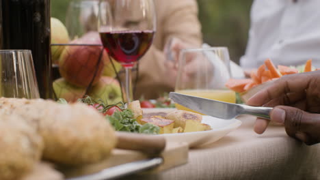 close up view of an man hand cutting a potatoe from a plate with vegetables during an outdoor party in the park