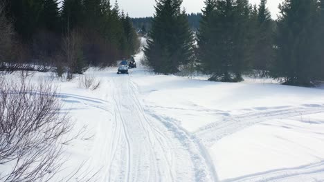 snowmobiling in a snowy forest