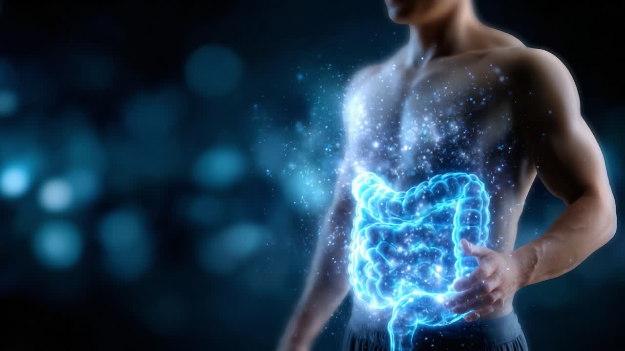 A Stunning Representation of the Human Digestive System, Showcasing the Intestines with Glowing Effects to Illustrate the Complexity of Internal Digestion Processes