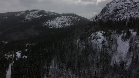 snow covered forest and mountain in lac a l'empeche quebec, canada - aerial shot