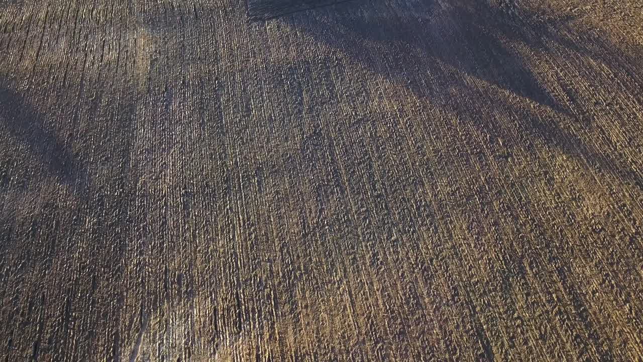 patrón de campo de tierra arada