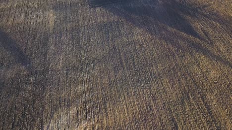 plowed dirt field pattern