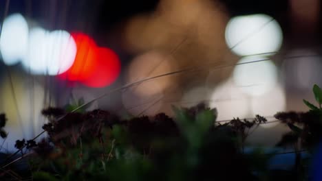 Bokeh-De-Ambiente-Nocturno-De-La-Ciudad,-Plantas-Soplando-En-El-Viento,-Colores-En-Cámara-Lenta