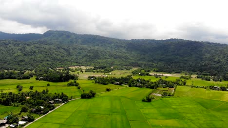 drone shot aerial view scenic landscape of agriculture farm in dry countryside