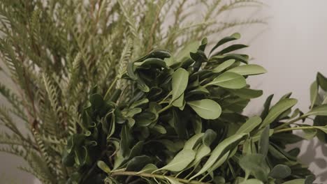 vegetación en preparación para el ramo del día de san valentín