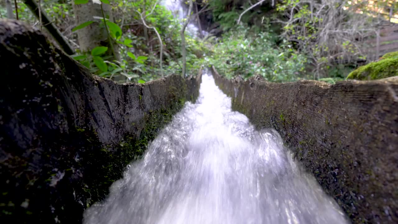 Close up water stream river flowing quickly in Italian Alps by greenery and trees