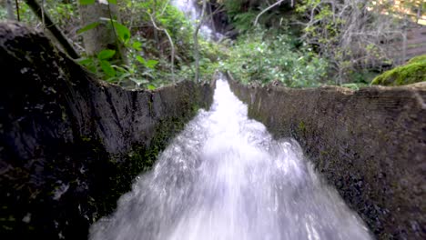 close up water stream river flowing quickly in italian alps by greenery and trees