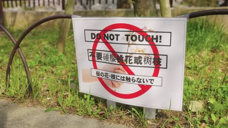 "do not touch" sakura tree warning after nuisance traveler incident in japan