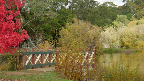 Beautiful-rural-lake-scene-during-autumn-or-fall