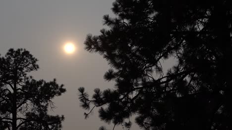 dreary smoke filled sky creates a eerie mood in the sky