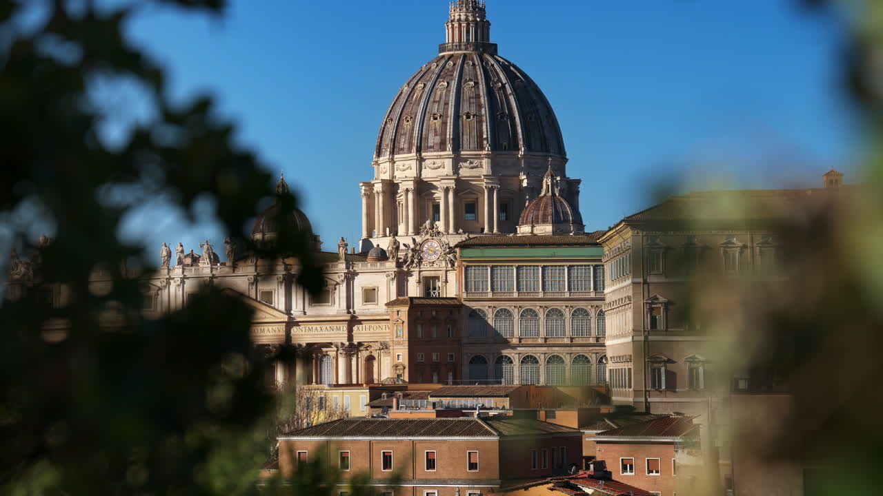 The dome of Saint Peter's Basilica in Vatican city. Green leafs in foreground. Zoom in effect. Sunset in Italy