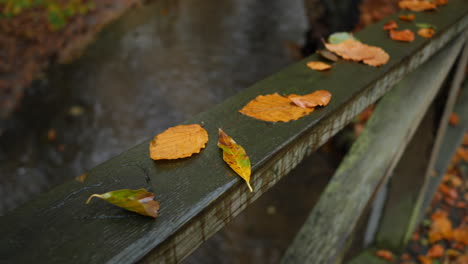 autumn leafs on the bridge rails