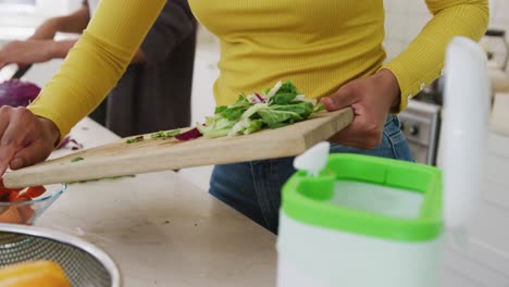 Midsection-of-biracial-sisters-cleaning-waste-in-kitchen,-in-slow-motion