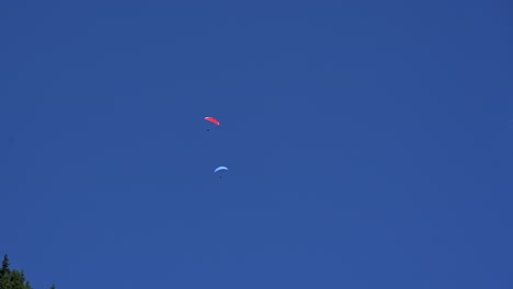 Three-parachutes-fly-in-a-blue-sky-and-one-cloud-over-fir-forest-in-the-swiss-alps,-Obwalden