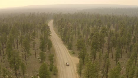 Bosque-Ahumado-Suv-De-Lujo-Conduciendo-Por-Un-Camino-De-Tierra