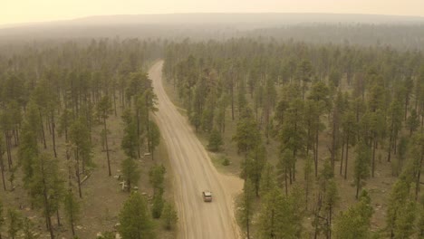bosque ahumado suv de lujo conduciendo por un camino de tierra