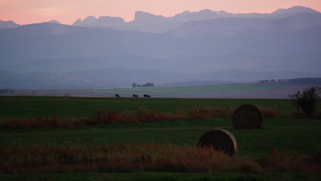 Deer-in-distance-grazing-in-farm-meadow-with-mountain-backdrop,-peachy-sunset