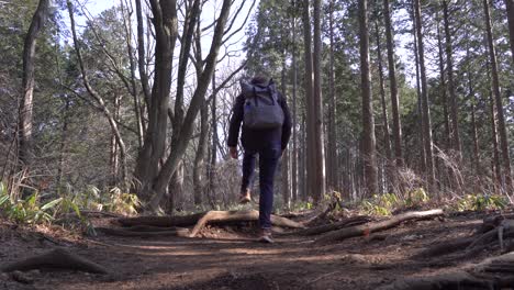 Junger-Mann,-Der-Mit-Seinem-Rucksack-In-Den-Bewaldeten-Bergen-Wandert---Low-Angle-Shot