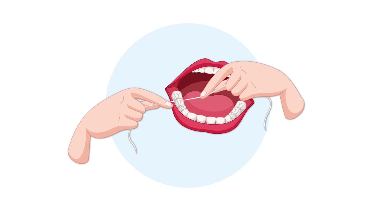 Animated vector shows proper dental flossing technique on human teeth model with neutral background